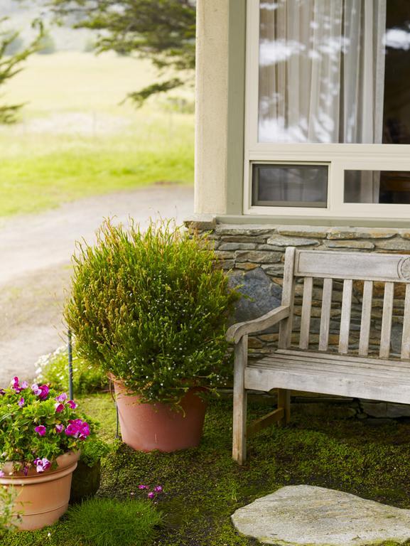 Moonstone Cottages Cambria Exterior photo