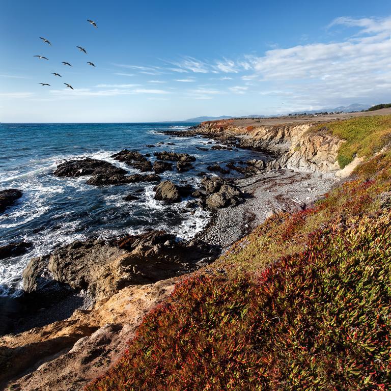 Moonstone Cottages Cambria Exterior photo