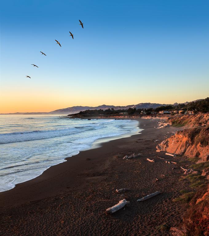 Moonstone Cottages Cambria Exterior photo